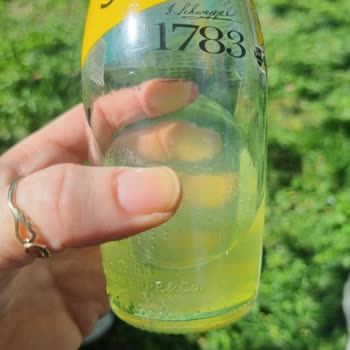 Schweppes İçinde Parçacıklar Var