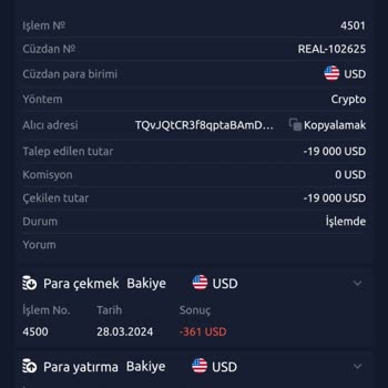 wallet skype Yatırım Hesabımdaki Engeller Ve Mağduriyetim