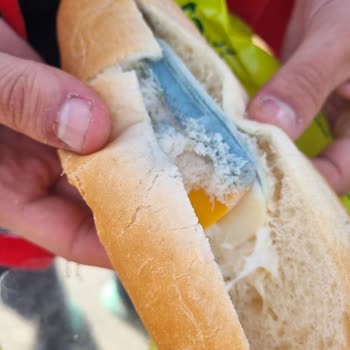 Tada! Peynirli Küflü Sandviç