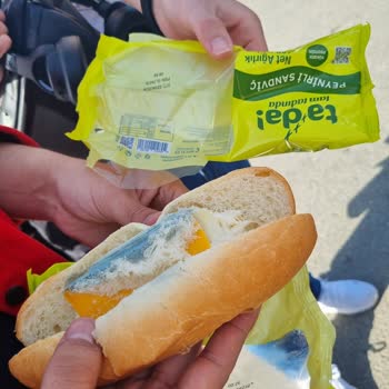 Tada! Peynirli Küflü Sandviç