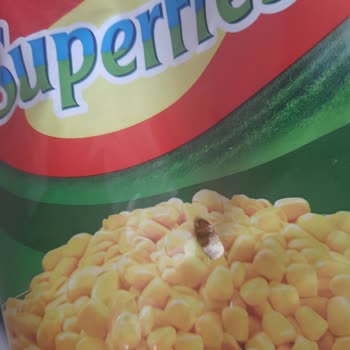 Superfresh Süt Mısırında Böcek Şoku!