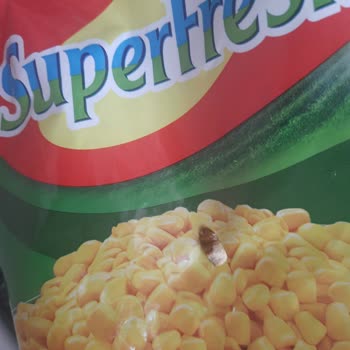 Superfresh Süt Mısırında Böcek Şoku!