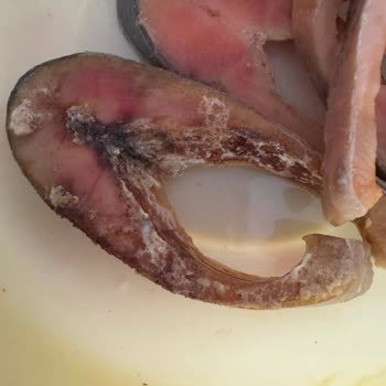 A101-Balık Dünyası Türk Somonu Çürümüş Balık