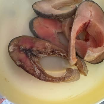 A101-Balık Dünyası Türk Somonu Çürümüş Balık