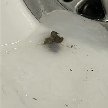 Urban Care Twisted Curls Bakım Kremi İçerisinden Yabancı Madde Çıktı.