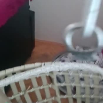 Bambi Salıncak Şikayeti