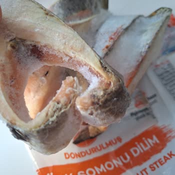 Balık Dünyası Dilimlenmiş Türk Somonu