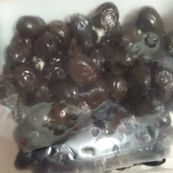 Cem Zeytincilik Adına Bu Duruma Üzüldüm...