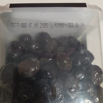 Cem Zeytincilik Adına Bu Duruma Üzüldüm...