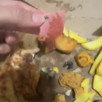 Domino's Pizza Siparişimi Yanlış Getirdi!