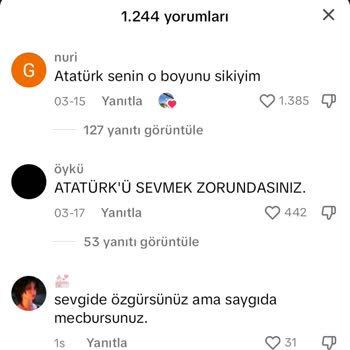 TikTok Atatürk'e Hakaret, Saygısızlık Ve Küfür.