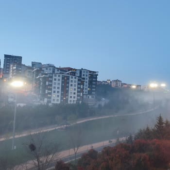 Gebze Belediyesi Tatlıkuyu Vadisi Bitmeyen Mangal Dumanları Sağlığımızla Oynuyor