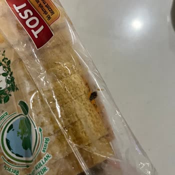 UNO Tost Ekmeğin Üzerindeki Siyah Şeyler