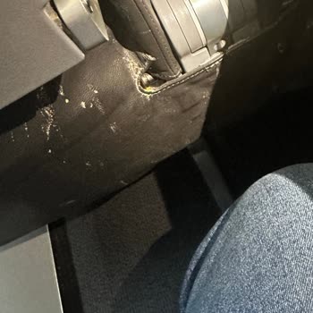 Pegasus Kusmuklu Uçakta Seyahat Ettirdi.