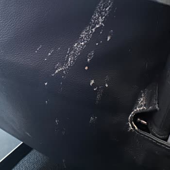 Pegasus Kusmuklu Uçakta Seyahat Ettirdi.