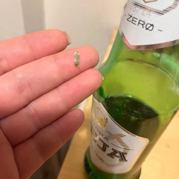 Birra Perja İçinden Cam Çıktı