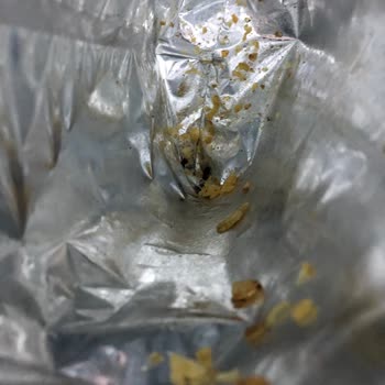 Lays Cips İçerisinden Çıkan Siyah Şey