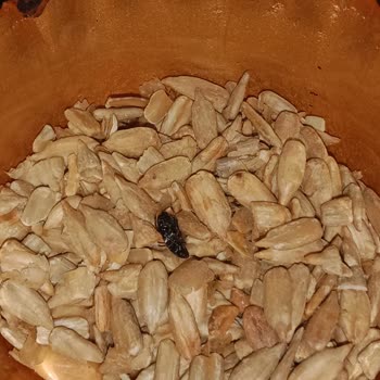 Çerezya A101 Kuru Yemiş Paketinden Böcek Çıktı