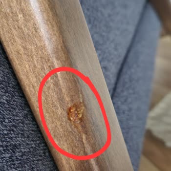 Enza Home Kumaş Ve Vb. Problemler