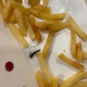 Bursa Özlüce Burger King Böcek Faciası!