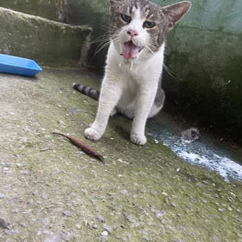 İBB - İstanbul Büyükşehir Belediyesi 153 Geç Dönmesi Ve Müdahale Edilmemesi