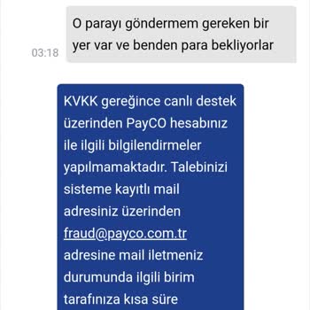 Payco Parama Erişim İzni