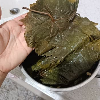 Sumbul_hanmdan (Instagram) Sipariş Hayal Kırıklığı: Beklentilerin Uzağında
