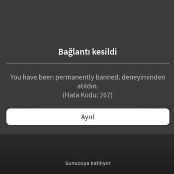 Blox Fruits Adlı Oyunda Hata!