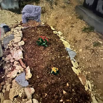 Sanko Üniversitesi Hastanesi Acı Kaybım Ve Hastane Süreci Hakkında Şikayetim