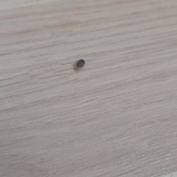 Enza Home Tahta Kurusu Mağduru