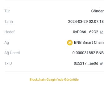 BscScan Yanlışlıkla Gönderilen Giggle Tokenlerimin İadesi İçin Yardım