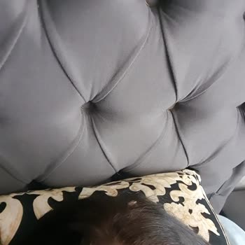 Koleston Kumral Boya Pişmanlığı Saçlarım Simsiyah Oldu