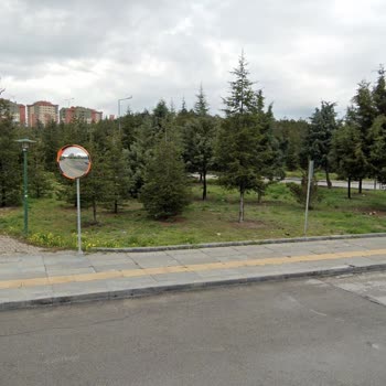 Etimesgut Belediyesi Etimesgut Sabahları Başıboş Köpek Problemi