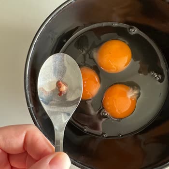 Enver Ağa Yumurta Yumurtadan Civciv Cenini Çıktı