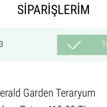 Taze Çiçek (tazecicek.com) Yaşanan Teslimat Sorunu