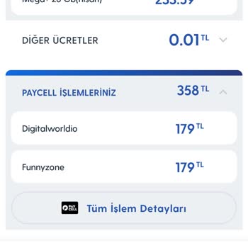 Vizyon Elektronik Para Ve Ödeme Hizmeti Haksız Ödeme