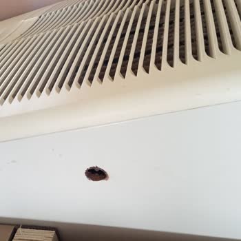 Daikin Büyük Markalar Böyleyse, Yanmışız!