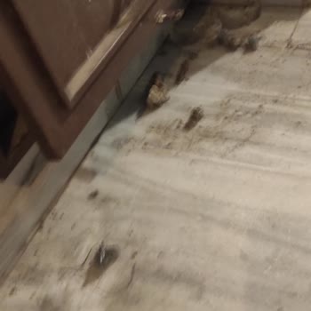 SASKİ Şaşkının Yaptığı İş