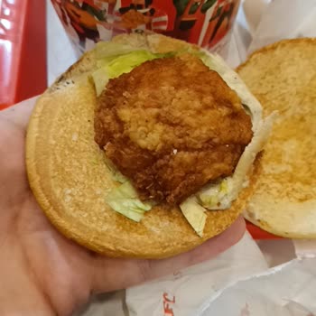 KFC Nin Meşhur Tavuk Burgeri