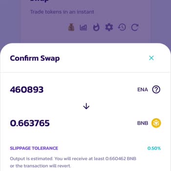 PancakeSwap Mağduriyetim