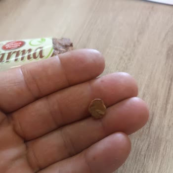 Malatya Pazarı Murat Palancı Meyveli Bar İçinden Taş Çıktı