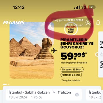 Pegasus Üyeliğimi İptal Edip Bol Puanımı Silmiş Yeni Üyelik Oluşturmuş