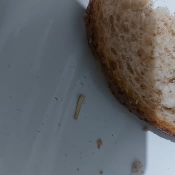 BİM Kepekli Ekmek İçinde Odun Çıktı.