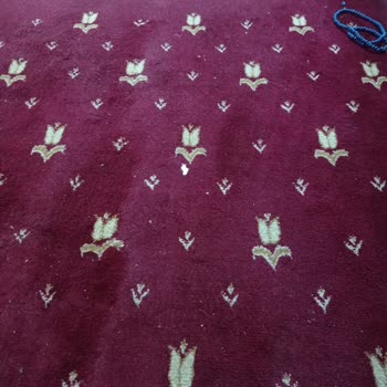 Kadir Has Çocuk Dünyası Mescit Pis Kokması