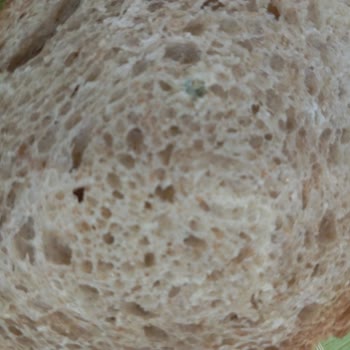 BİM Den Aldığım Taşkın Tam Buğday Ekmek Küflü Çıktı!