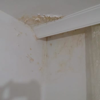 Ankara TOKİ Çatı Ve Ev İçi Sorunlar