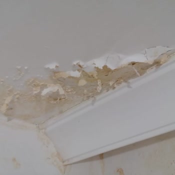 Ankara TOKİ Çatı Ve Ev İçi Sorunlar