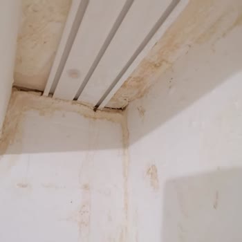 Ankara TOKİ Çatı Ve Ev İçi Sorunlar