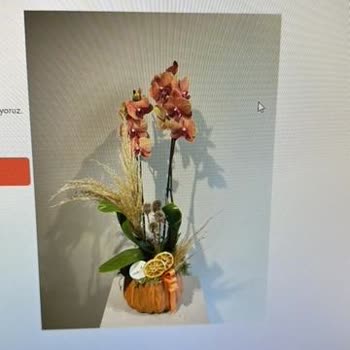 Taze Çiçek (tazecicek.com) Ürün Görseli İle Tamamen Farklı Orkideler