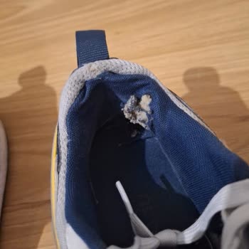Puma Spor Ayakkabı Kadın Ayakkabı